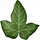 thefoxandtheivy.com