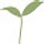thehangingspoon.com