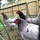chickencat06