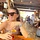 Daniella VM