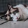 Izzie Mdna