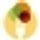 recipetips.com