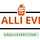 anallievent.com