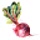 simpleseasonal.com