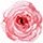sevenroses.net