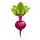 healthyslowcooking.com