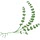 lemonythyme.com