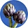 greenevi.com