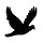 beferox.com