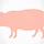 mybaconwrappedlife.com