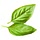 servedfromscratch.com