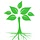 reclaimingvitality.com