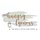 thehungrylyoness.com