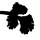 cilantroparsley.com