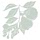 schisandraandbergamot.com