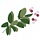 tinandthyme.uk