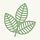 holisticwellness.ca