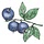 allergyfreealaska.com