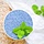 plantedinthekitchen.com