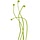 thewonderfulworldofsprouts.com