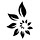 nouveauraw.com