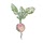 daisybeet.com
