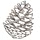pineconesandacorns.com