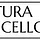 venturalimoncello.com