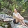 Andrea Smith