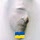 Constantin Cornea