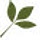ottosnaturals.com
