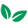 freshexpress.com