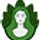 bodyandmindbotanicals.com