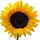 walkingonsunshinerecipes.com