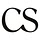 camillestyles.com