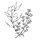 olivesnthyme.com