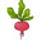 ladyleeshome.com