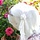 Bader Serhan