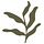 carolinegreennutrition.com