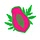 thepinkpapaya.com