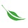 taylorfarms.com
