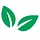 freshexpress.com