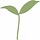 spoonfulofplants.com