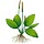 commonsensehome.com