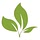dishingoutplants.com