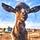Shawna @ Flying Beard Ranch