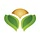 pulses.org