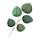 thegreenloot.com