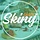 skinytaste.net