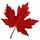 canadiancookingadventures.com